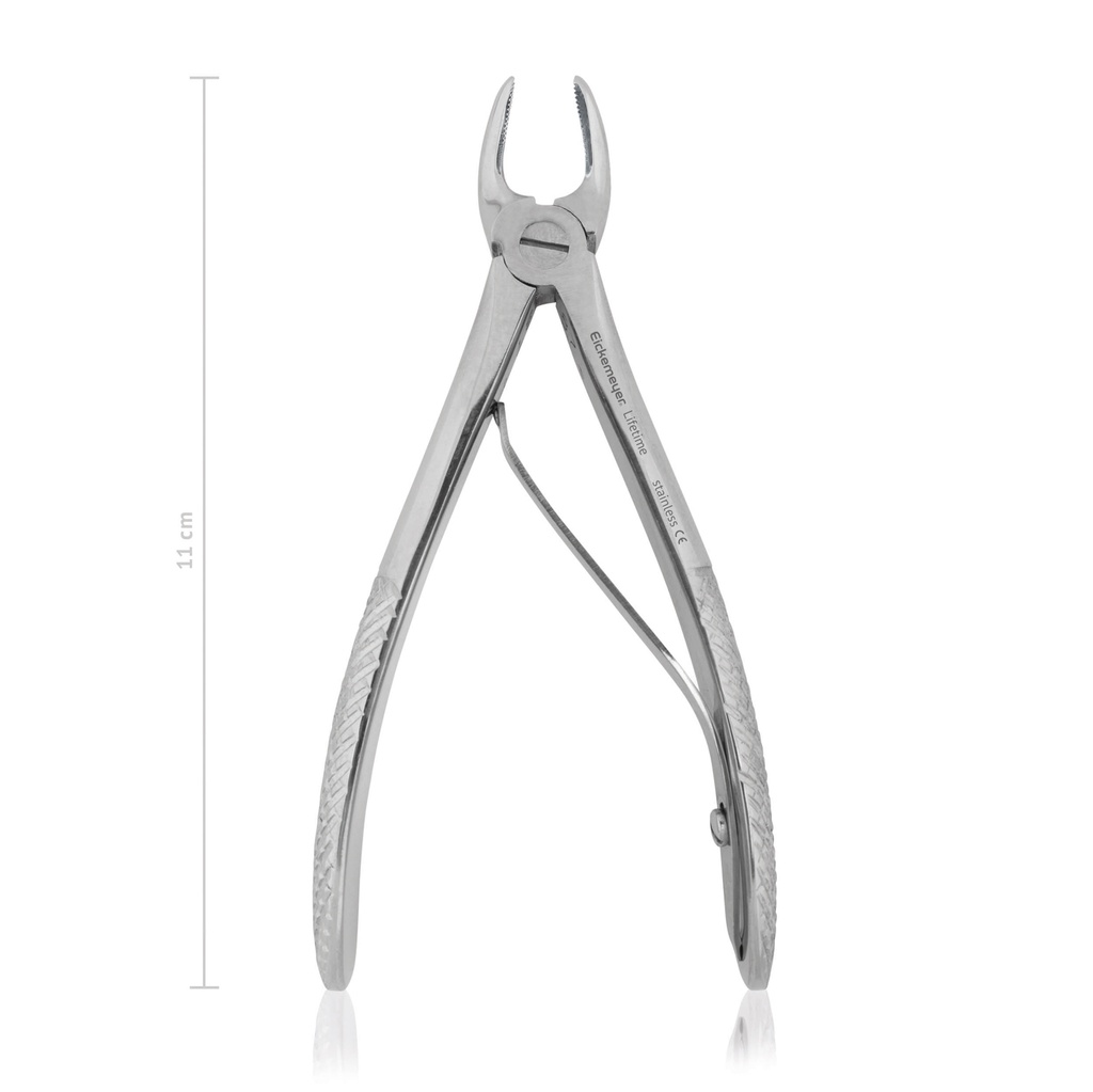 Tooth forceps, new model, 11 cm, 4 1/2